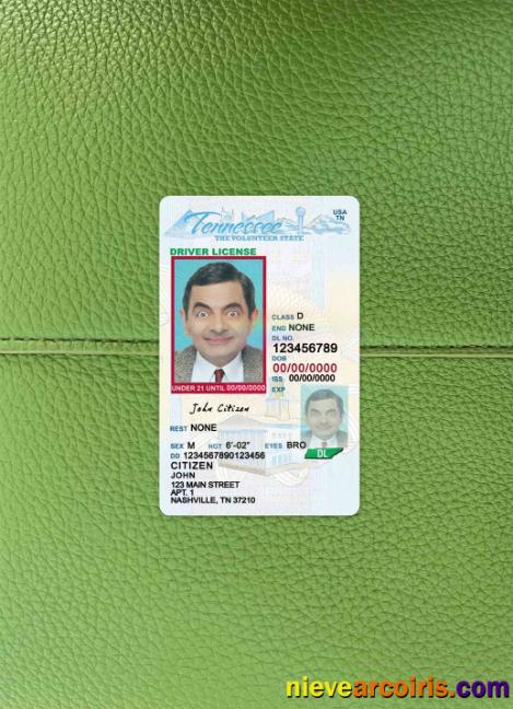 USA Tennessee driving license photolook